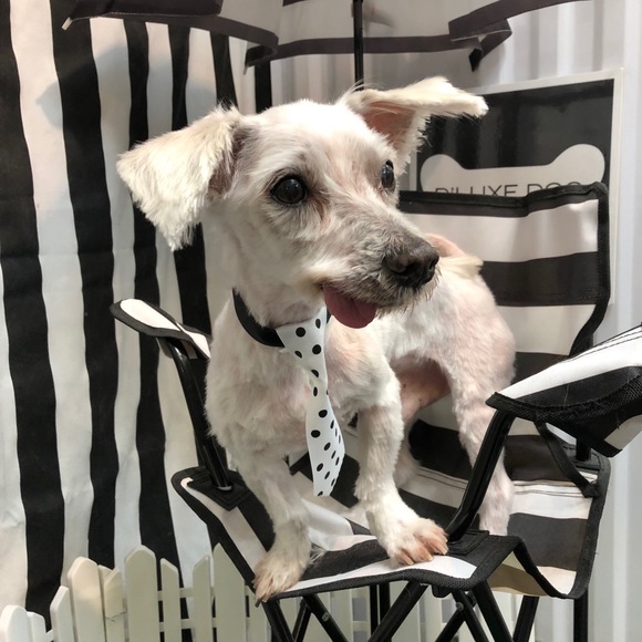 Meet your Posher, Kim - Picture 1 of 1